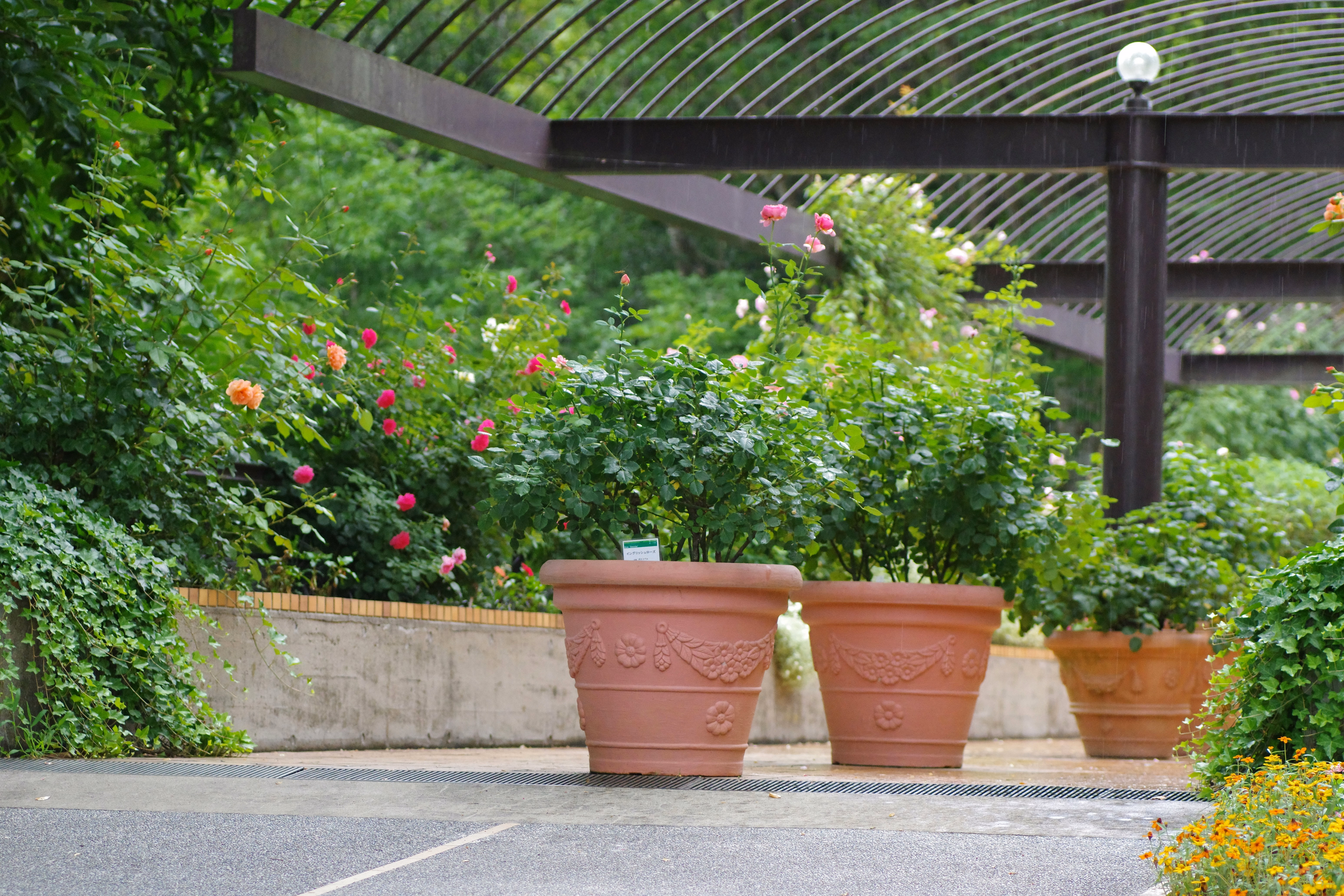 Garden Installation